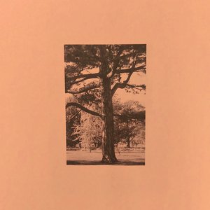 啊〜少妇〜嗯〜轻一点
